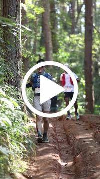 BIB:  <button type="button" onclick="openModal(26569566)" class="btn btn-primary btn-sm float-right" data-toggle="modal" data-target=".modal-high-quality">
                <i class="fa fa-download"></i> Download
                </button>